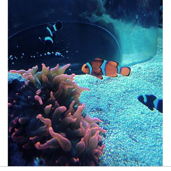 Meet your Posher, Muniba - Picture 1 of 1